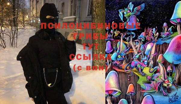 стаф Алексеевка