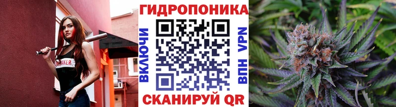 Бошки марихуана Bruce Banner  Орлов 